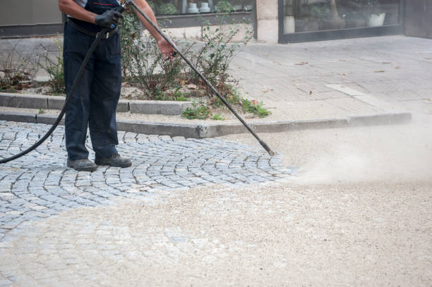 Best Pre-Holiday Cleaning  in Williston Park, NY