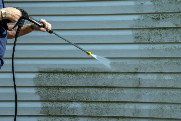 Best Driveway Pressure Washing  in Williston Park, NY