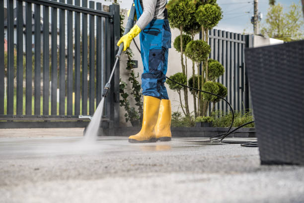 Best Building Exterior Washing  in Williston Park, NY